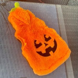Pumpkin sweater for small/medium dogs